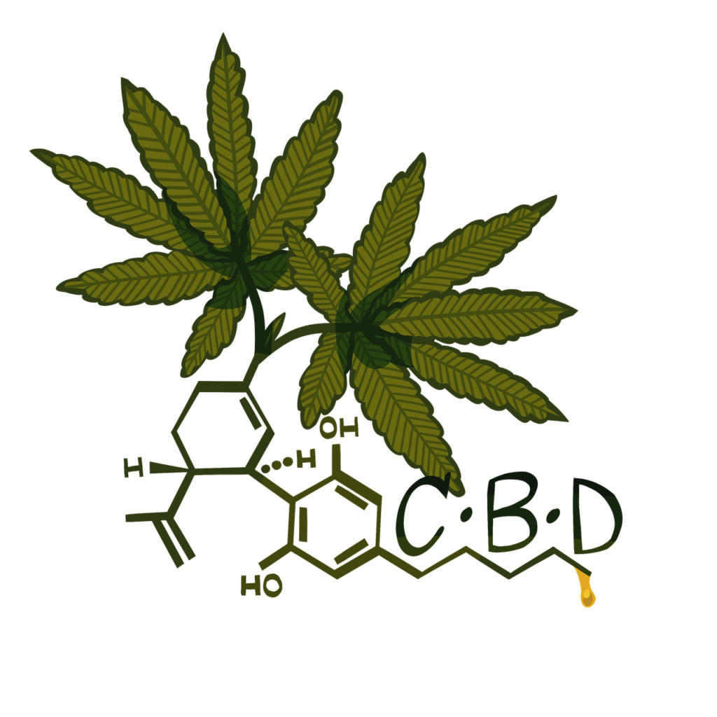 cannabis cbd hemp cannabidiol
